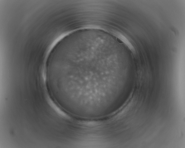 X0000114411084200910161201