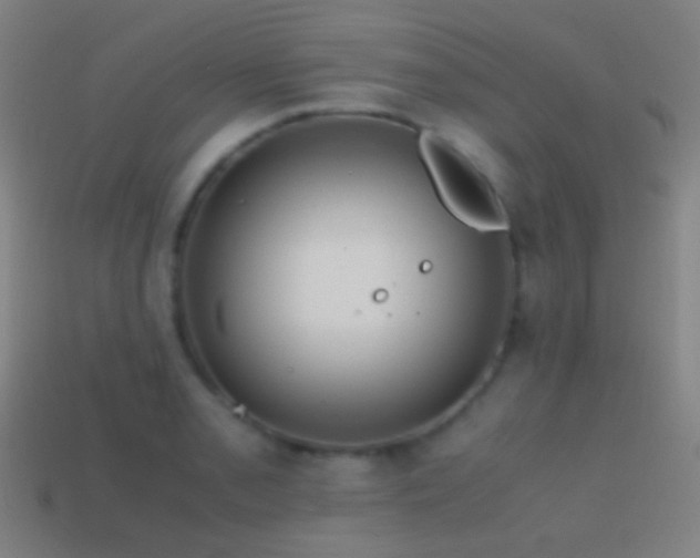 X0000114411085200910161201