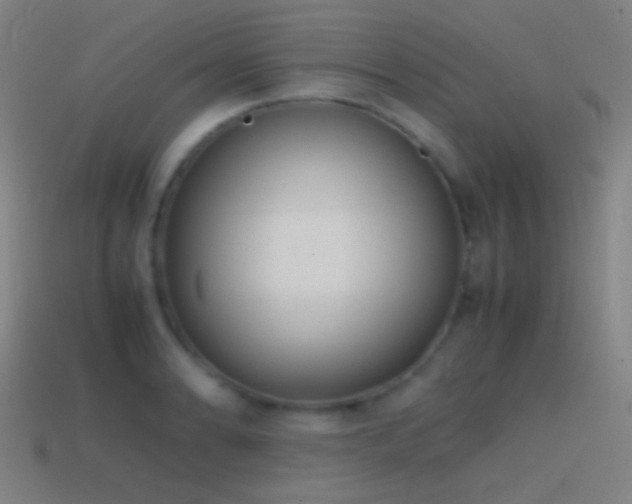 X0000114411086200910161201