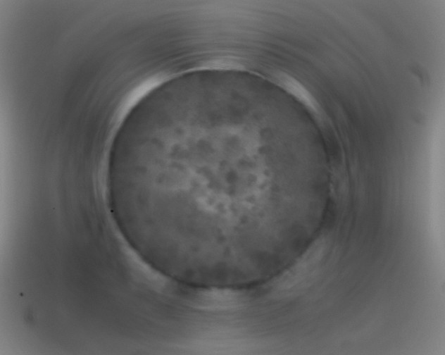 X0000114411087200910161201