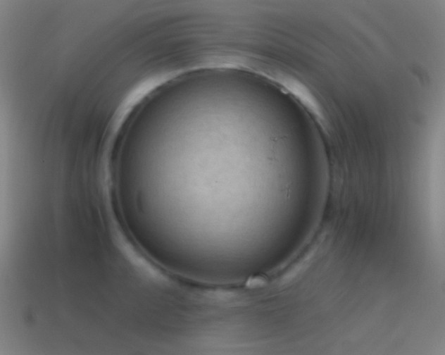 X0000114411088200910161201
