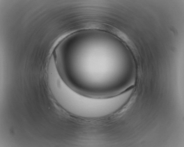 X0000114411089200910161201