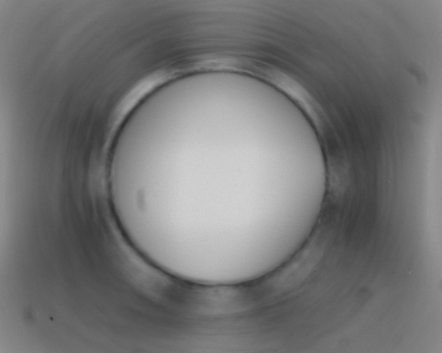 X0000114411090200910161201