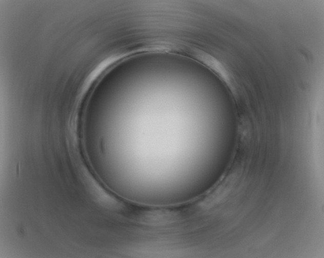 X0000114411091200910161201