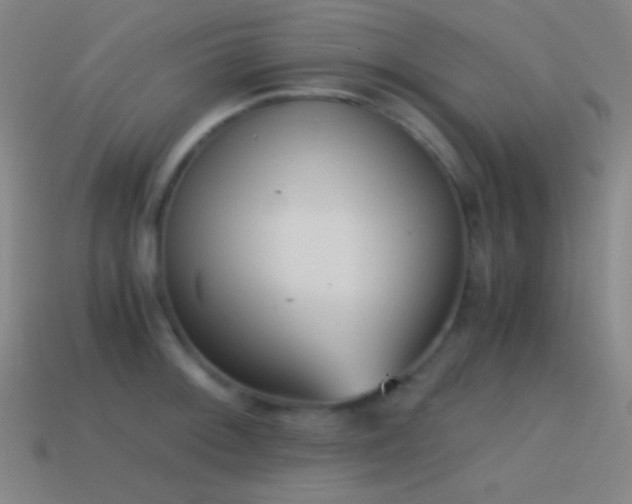 X0000114411092200910161200