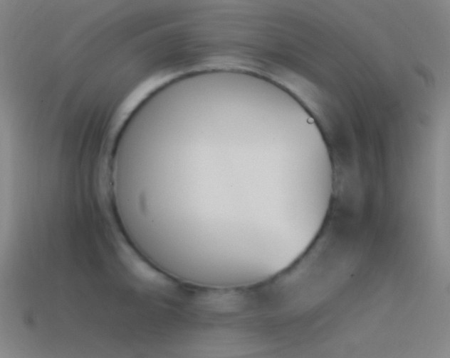 X0000114411094200910161200