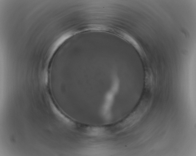 X0000114411095200910161200