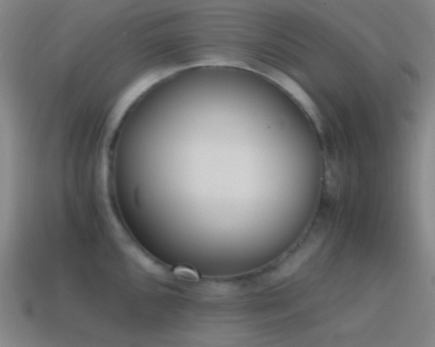 X0000114411096200910161200