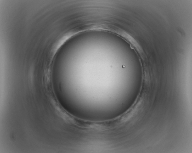 X0000114411097200910161200