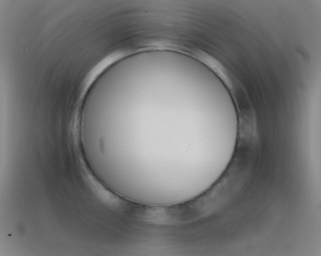X0000114411098200910161200