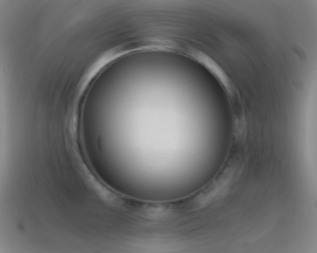 X0000114411099200910161200