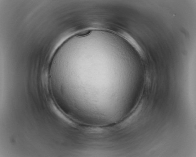 X0000114411100200910161200