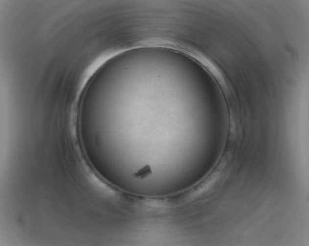 X0000114411102200910161200