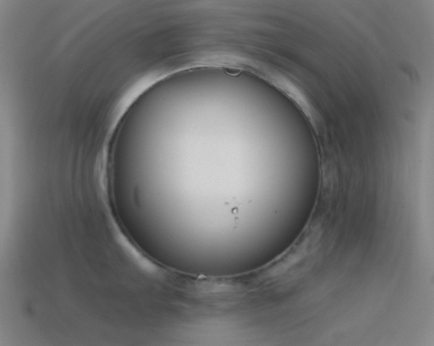 X0000114411103200910161200
