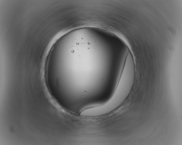 X0000114411104200910161200