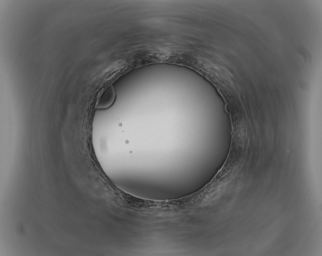 X0000114411105200910161159