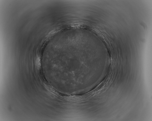 X0000114411106200910161159
