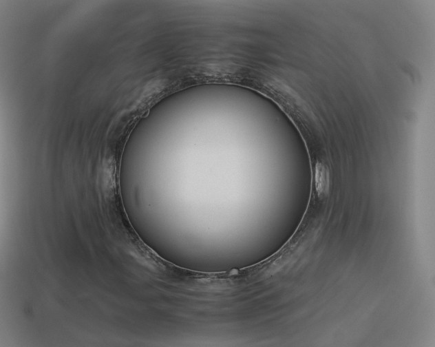 X0000114411107200910161159