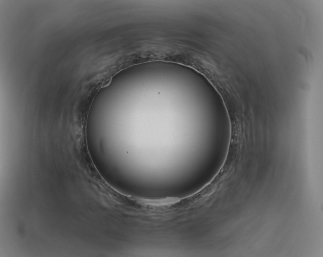 X0000114411109200910161159