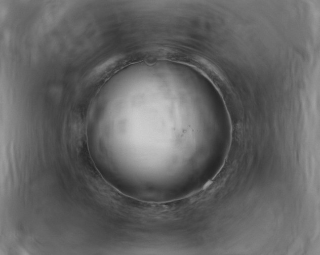 X0000114411111200910161159