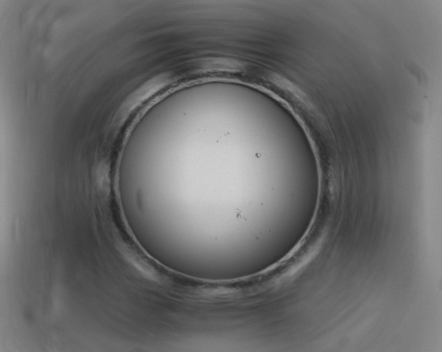 X0000114411113200910161159