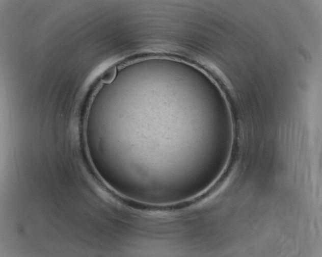 X0000114411114200910161159