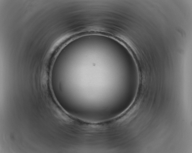 X0000114411115200910161159