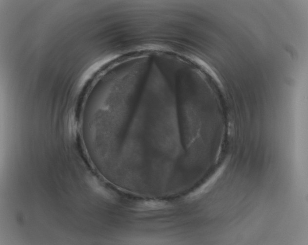X0000114411117200910161200