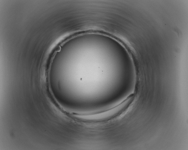 X0000114411118200910161200