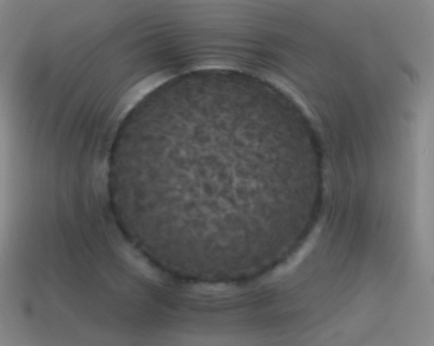 X0000114411121200910161200