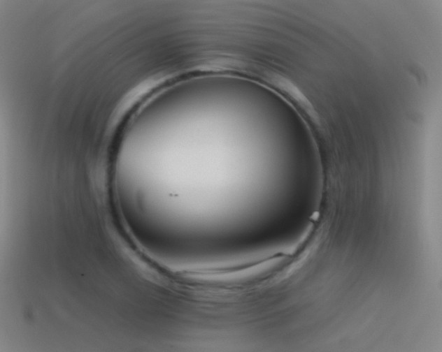 X0000114411122200910161200