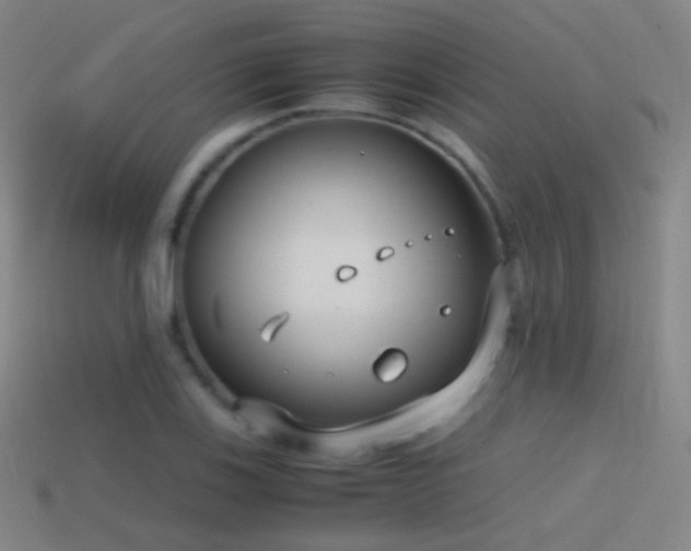 X0000114411123200910161200