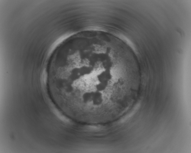 X0000114411125200910161200