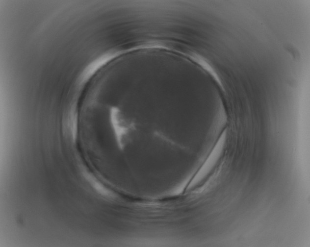 X0000114411127200910161200