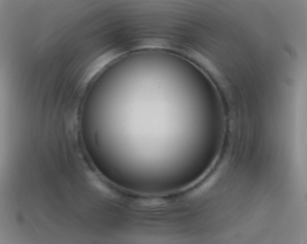 X0000114411129200910161200