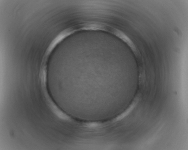 X0000114411130200910161200