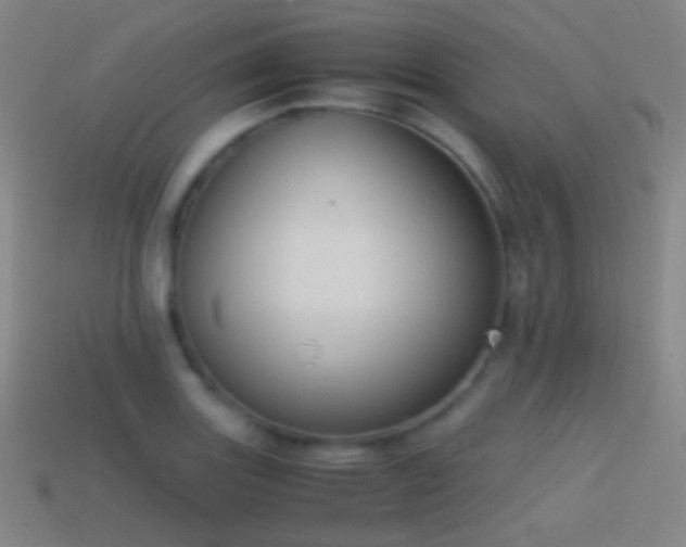X0000114411131200910161200