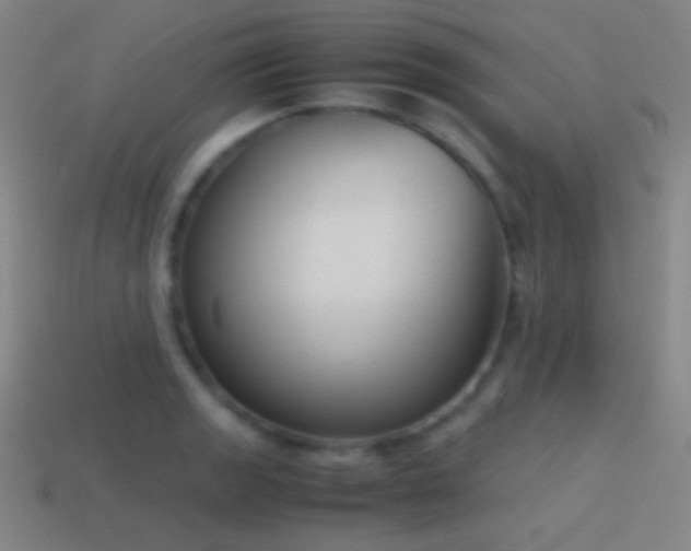 X0000114411133200910161200