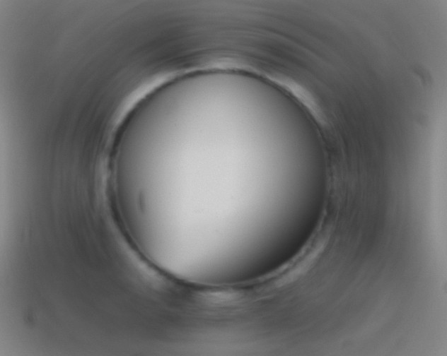 X0000114411134200910161200