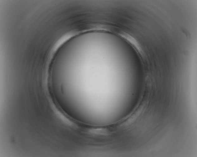 X0000114411135200910161200