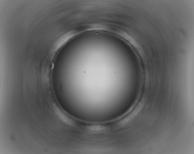 X0000114411137200910161200