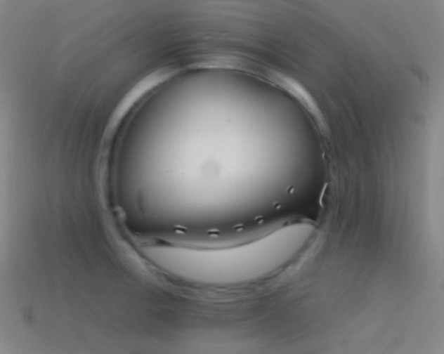 X0000114411138200910161200