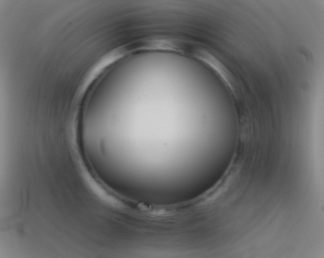 X0000114411139200910161200
