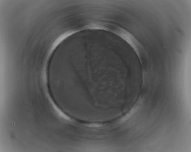 X0000114411141200910161200