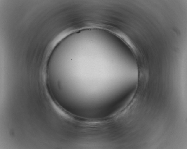 X0000114411143200910161200