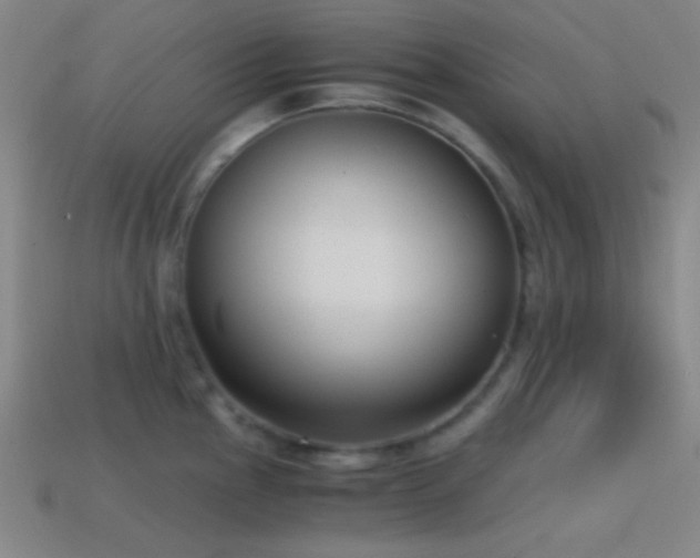 X0000114411145200910161200