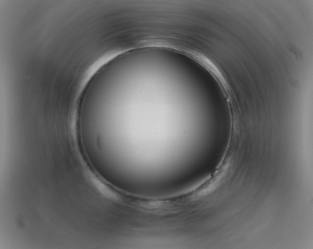 X0000114411149200910161200