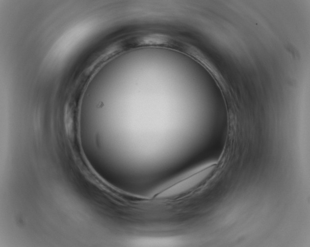 X0000114411151200910161200
