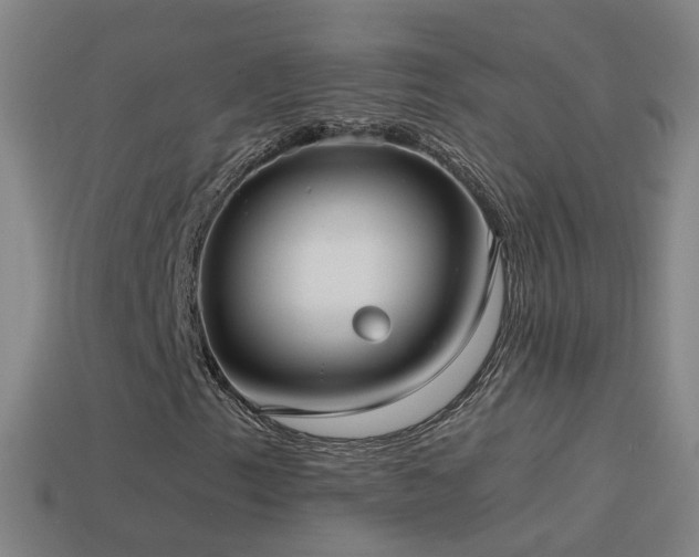 X0000114411153200910161159