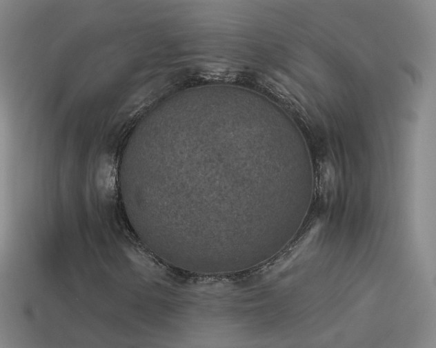 X0000114411154200910161159